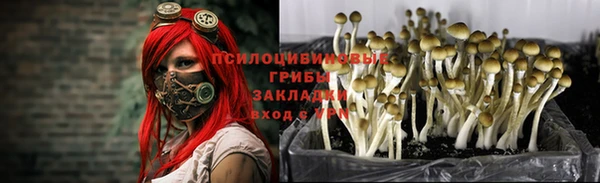 МДПВ Санкт-Петербург