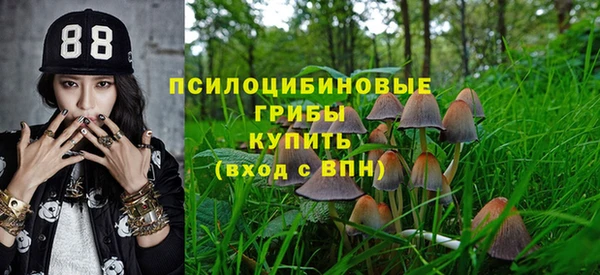 спиды Краснослободск