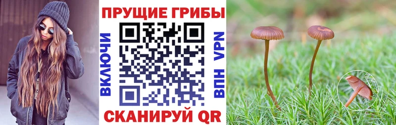 Псилоцибиновые грибы прущие грибы  Сасово 